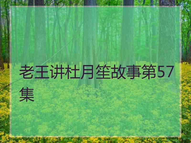 老王讲杜月笙故事第57集