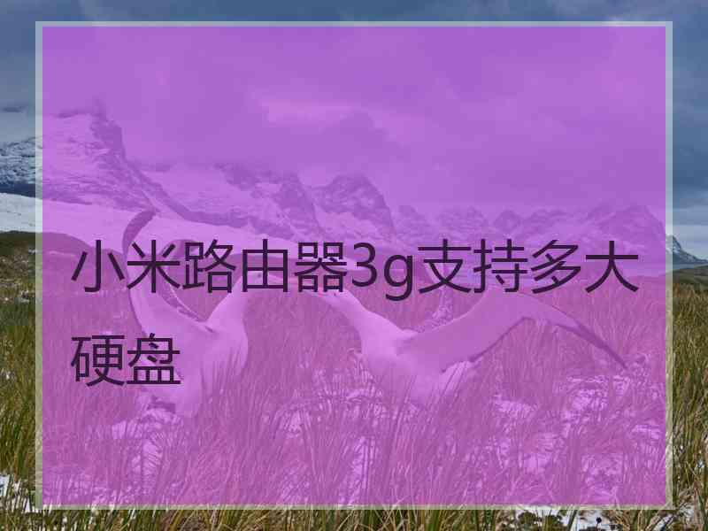 小米路由器3g支持多大硬盘