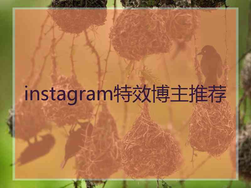 instagram特效博主推荐