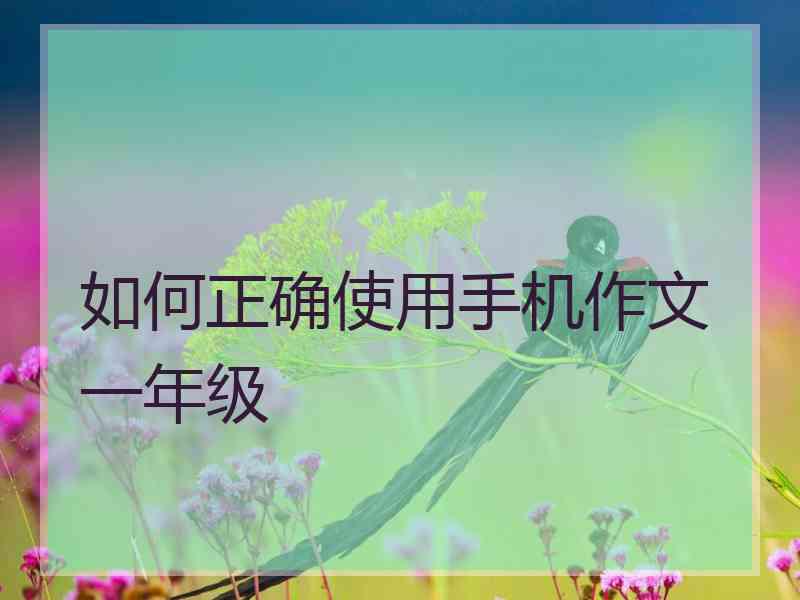 如何正确使用手机作文一年级