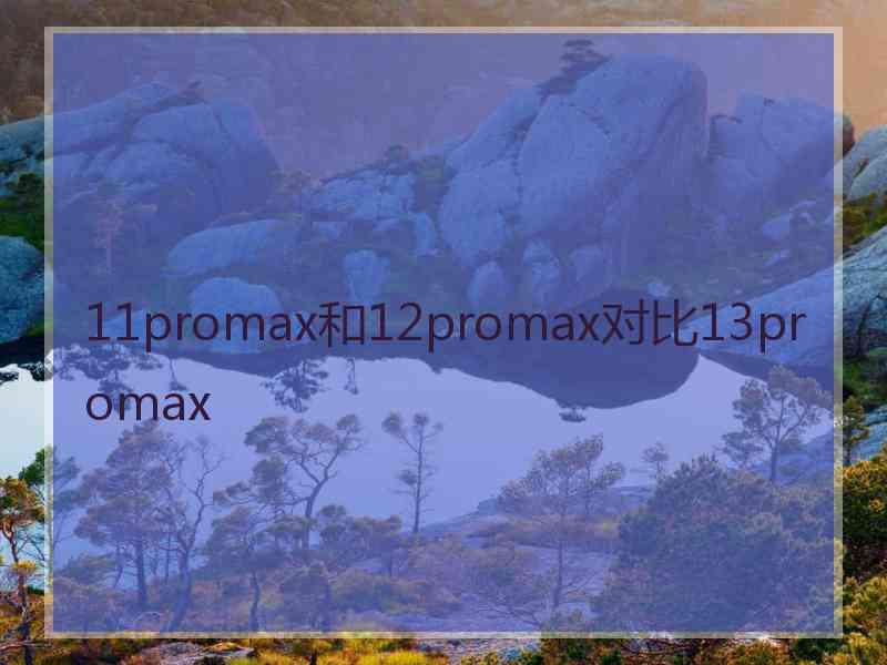 11promax和12promax对比13promax