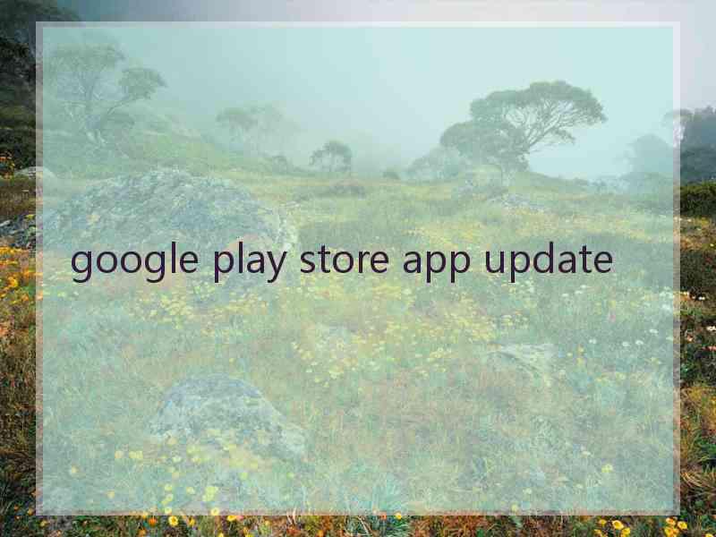 google play store app update