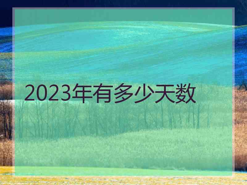 2023年有多少天数