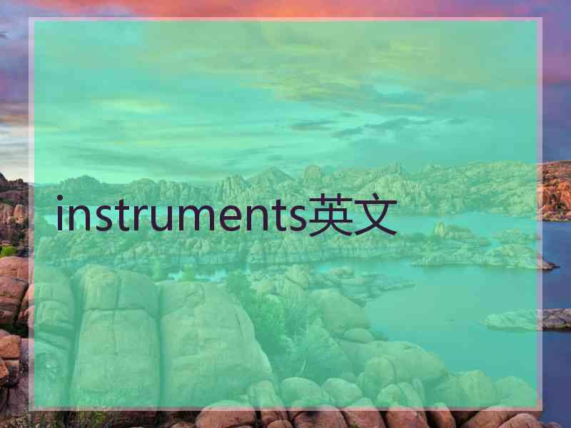 instruments英文