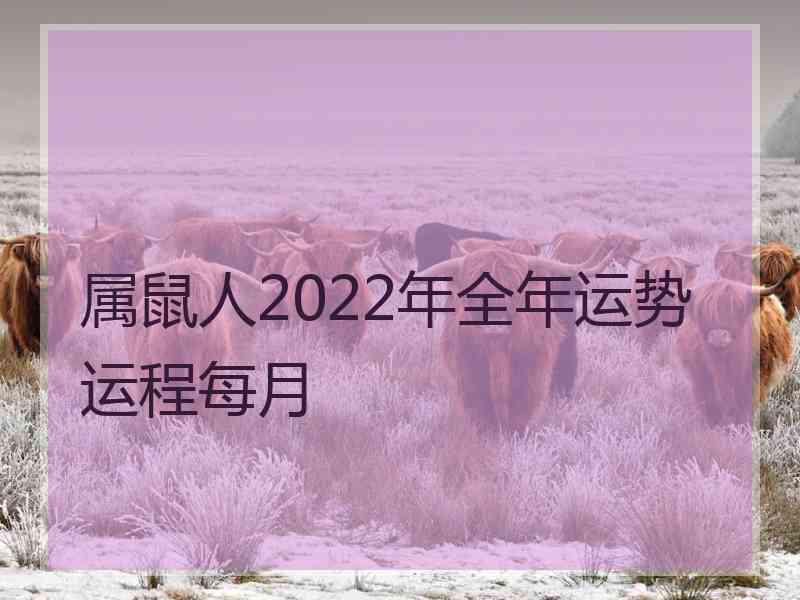 属鼠人2022年全年运势运程每月