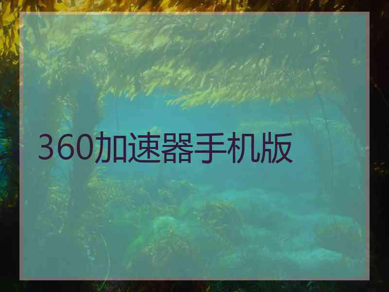 360加速器手机版