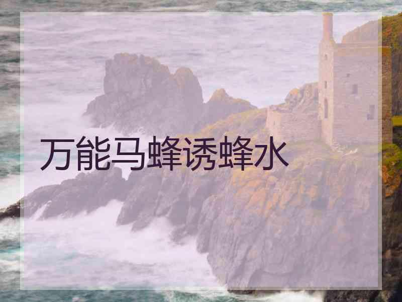 万能马蜂诱蜂水