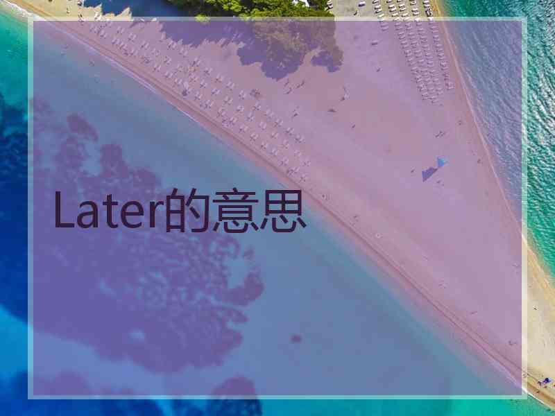 Later的意思