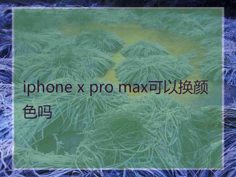 iphone x pro max可以换颜色吗