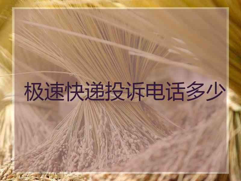 极速快递投诉电话多少