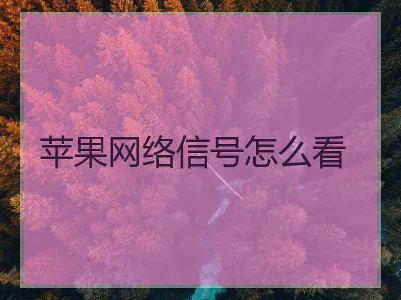 苹果网络信号怎么看