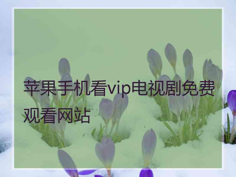 苹果手机看vip电视剧免费观看网站