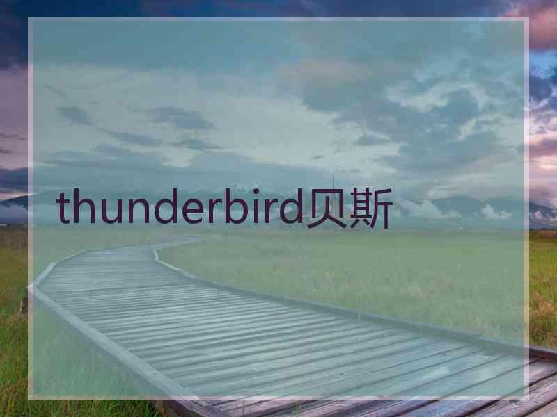 thunderbird贝斯