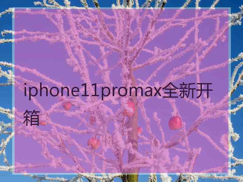 iphone11promax全新开箱