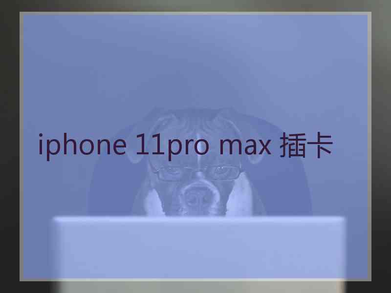 iphone 11pro max 插卡