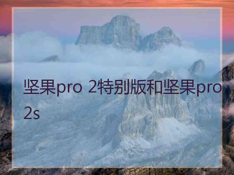 坚果pro 2特别版和坚果pro2s