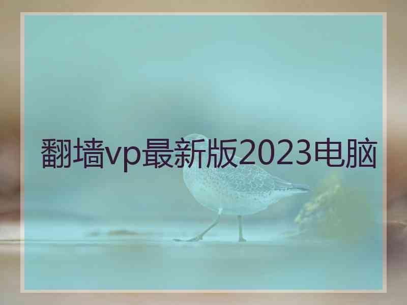 翻墙vp最新版2023电脑