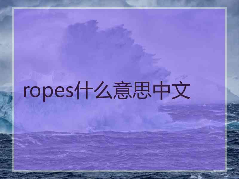 ropes什么意思中文