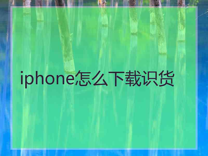 iphone怎么下载识货