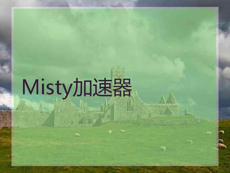 Misty加速器