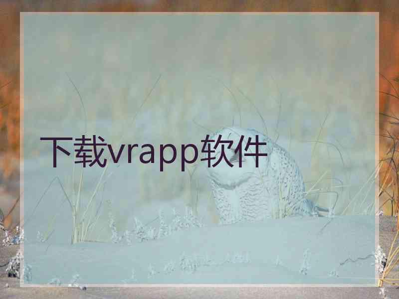 下载vrapp软件