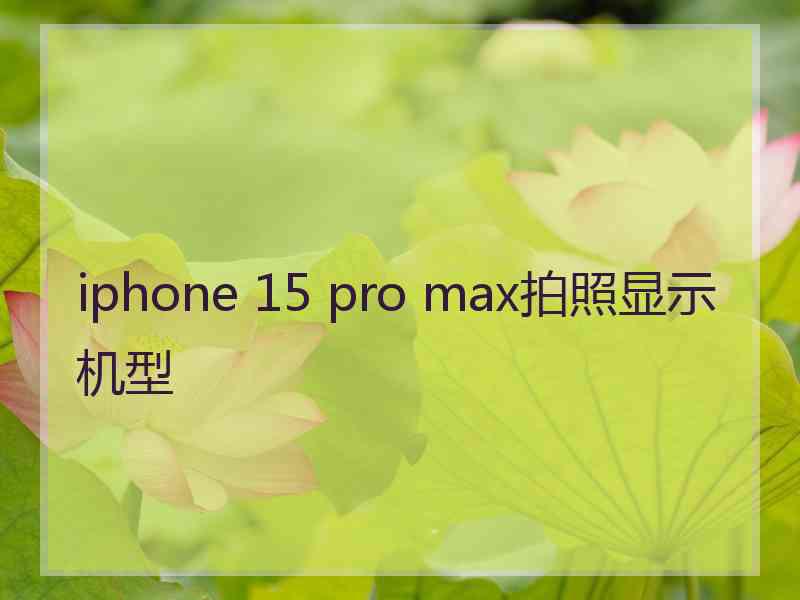 iphone 15 pro max拍照显示机型