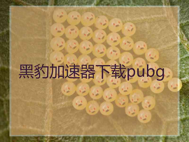 黑豹加速器下载pubg