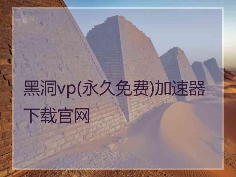 黑洞vp(永久免费)加速器下载官网