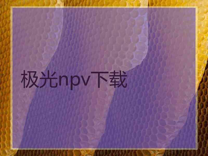 极光npv下载