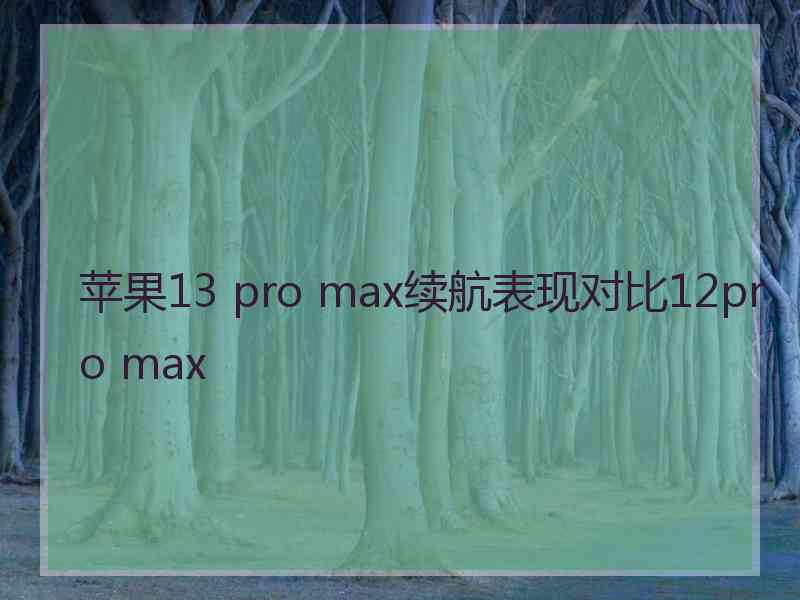 苹果13 pro max续航表现对比12pro max