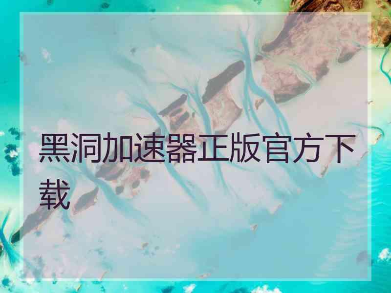 黑洞加速器正版官方下载