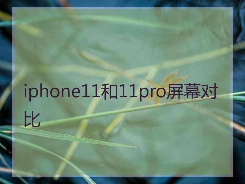 iphone11和11pro屏幕对比