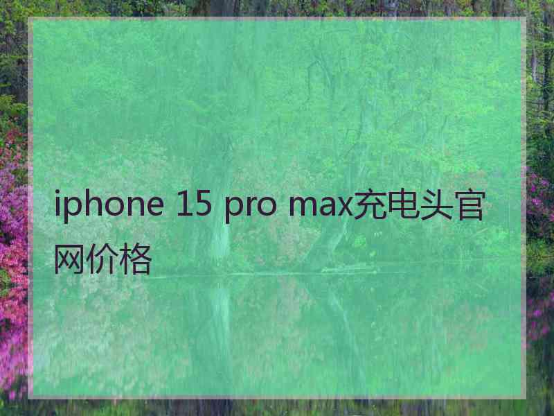 iphone 15 pro max充电头官网价格