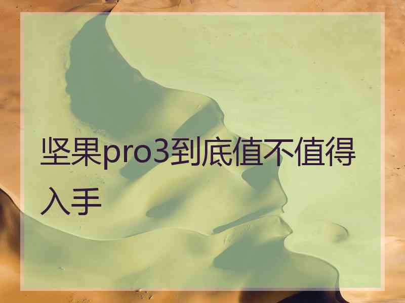 坚果pro3到底值不值得入手