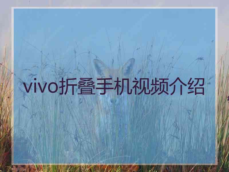 vivo折叠手机视频介绍