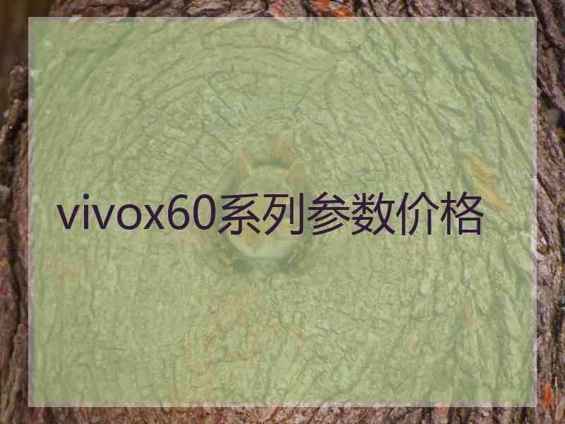 vivox60系列参数价格