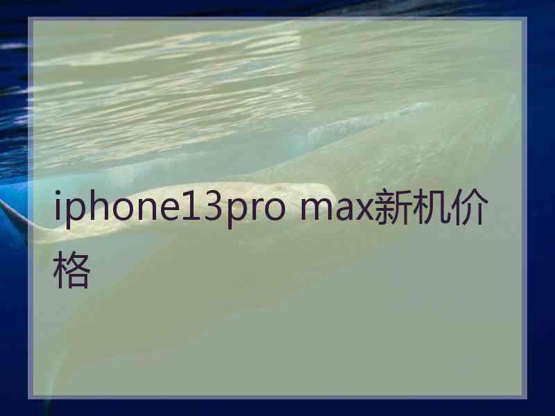 iphone13pro max新机价格