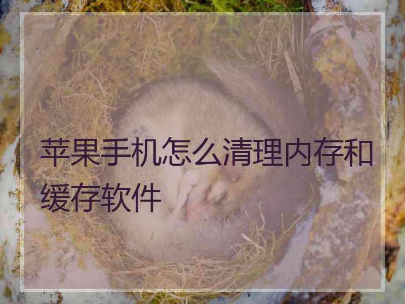 苹果手机怎么清理内存和缓存软件