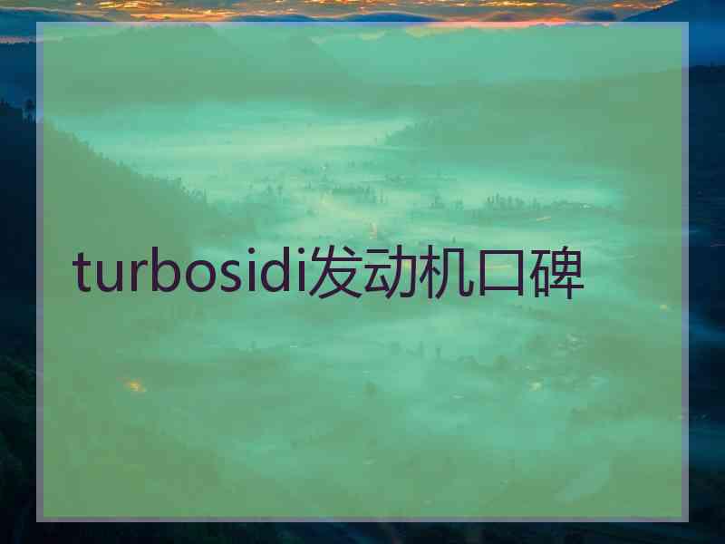 turbosidi发动机口碑