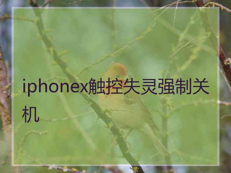 iphonex触控失灵强制关机