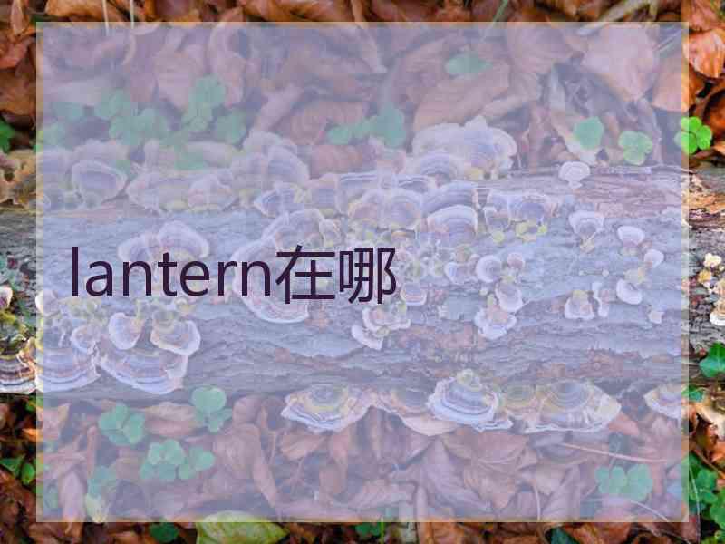 lantern在哪