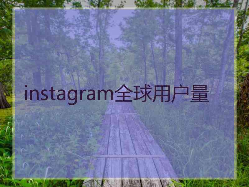 instagram全球用户量