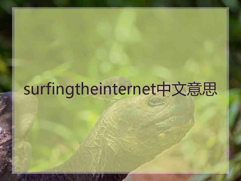 surfingtheinternet中文意思