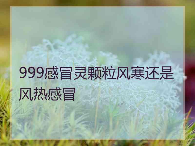 999感冒灵颗粒风寒还是风热感冒