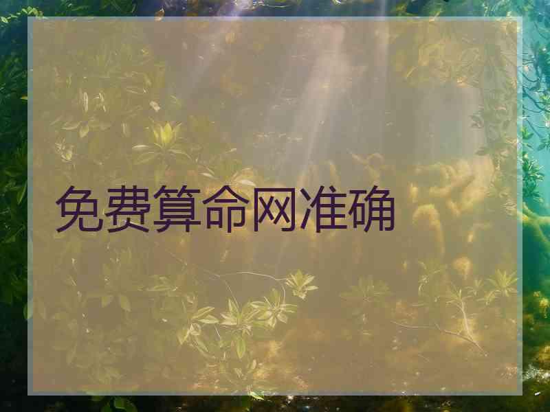 免费算命网准确