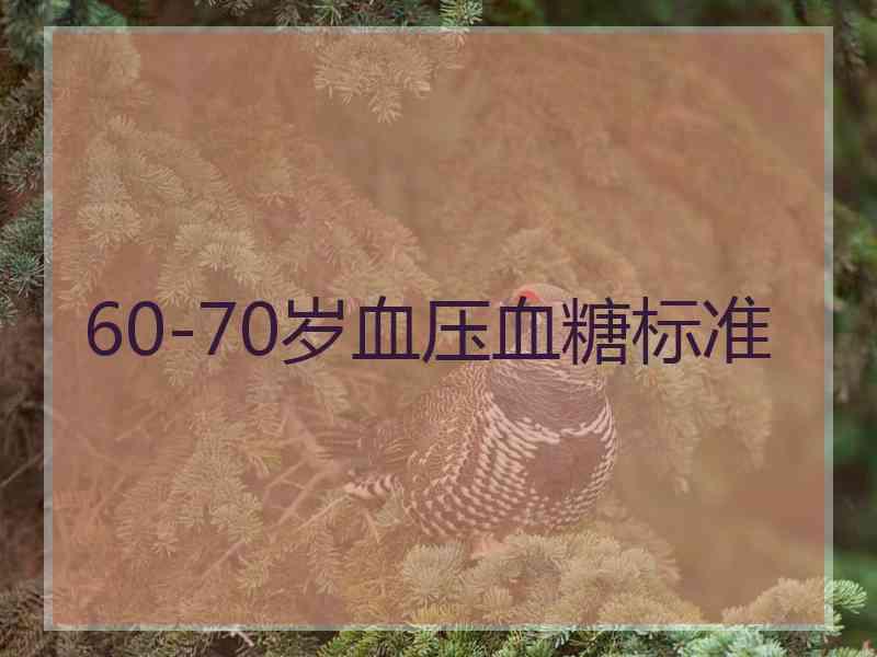 60-70岁血压血糖标准