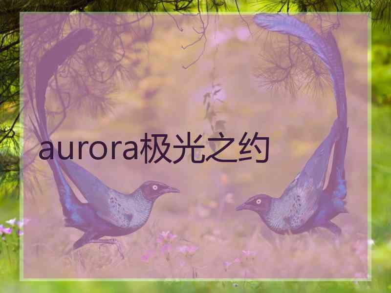 aurora极光之约