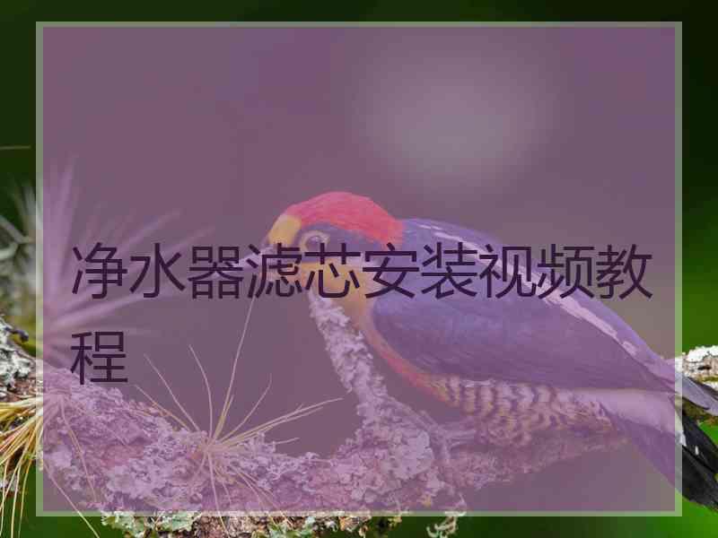 净水器滤芯安装视频教程