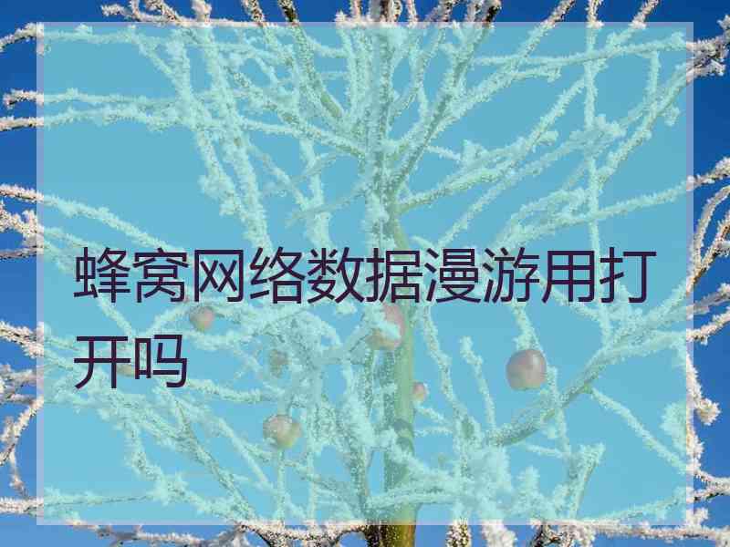 蜂窝网络数据漫游用打开吗