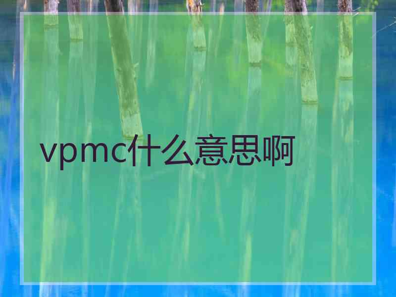 vpmc什么意思啊